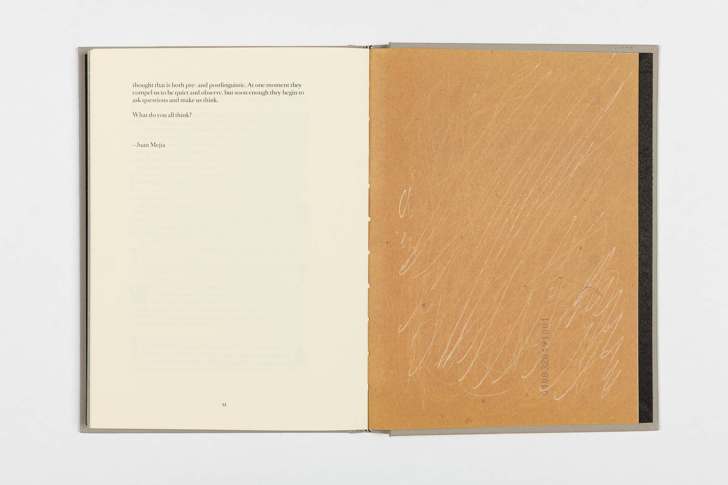 14.-Toned-Gray-text-pages-12-13